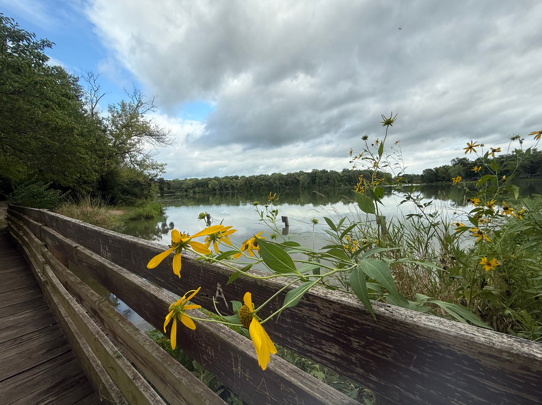 O'Connell's RV Campground Lakefront Cabin 9主图