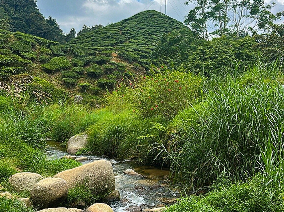 Mpv Kl Transporter-吉隆坡必去景点