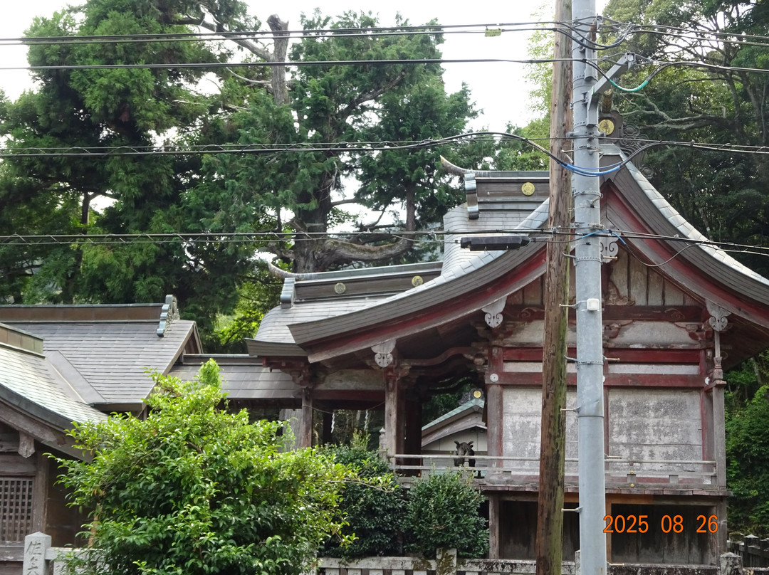 Ichinomiya Shrine-德岛市必去景点