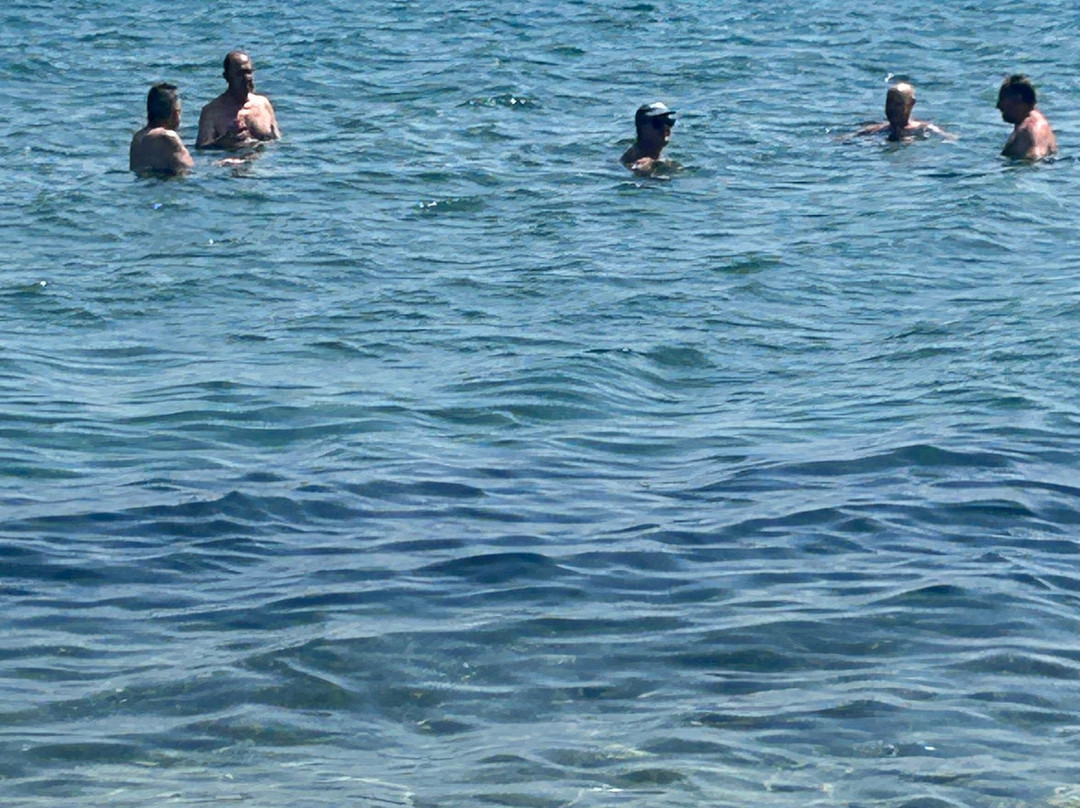 Mythical Coast Wellness Retreat主图