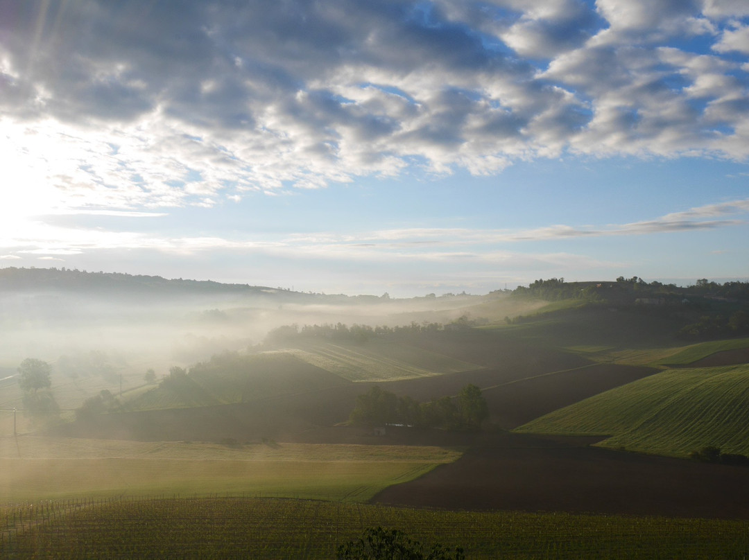 Salabue酒店住宿-SPINEROLA Hotel Nidum, Restaurant Godezia, Spa Arborea