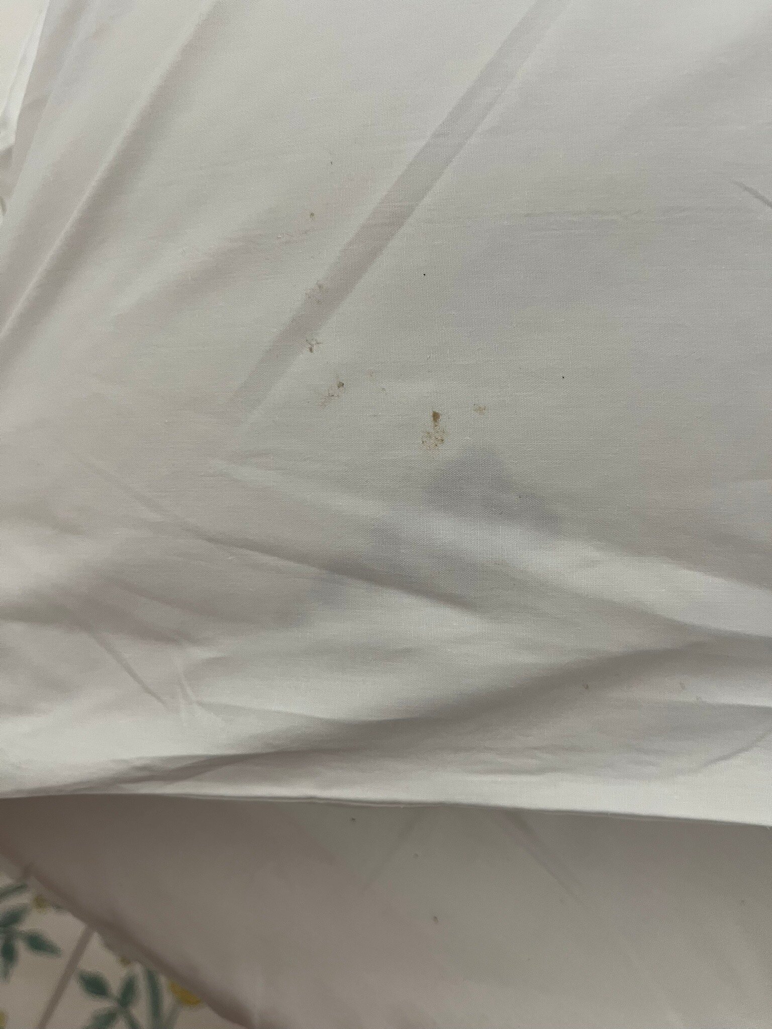 Hotel Sibilla Residence-官方