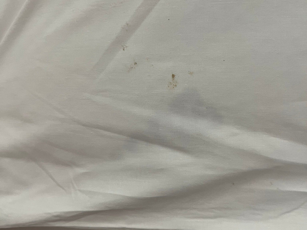 Hotel Sibilla Residence主图