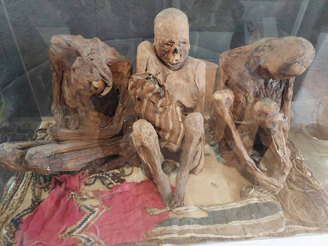 Museo Municipal Carlos Dreyer-普诺大区必去景点