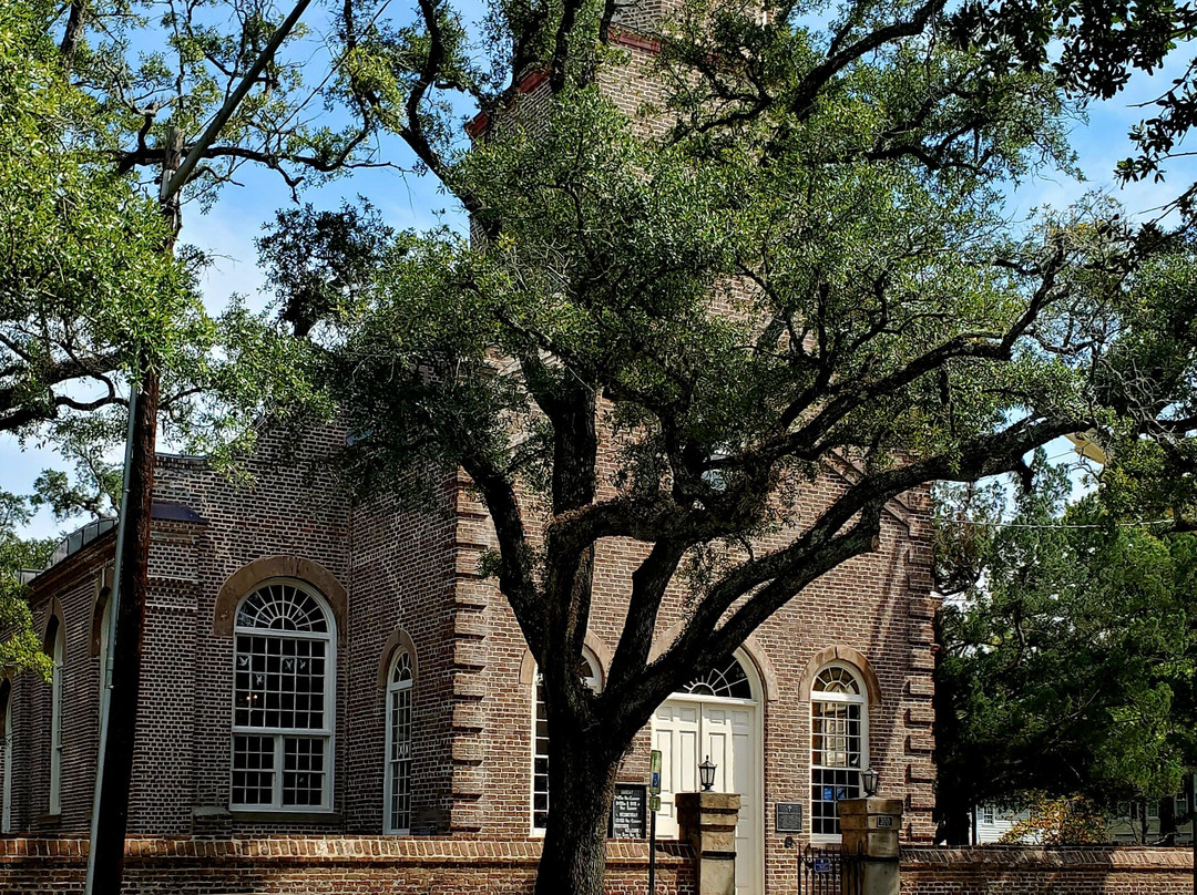 Swamp Fox Tours-乔治敦必去景点