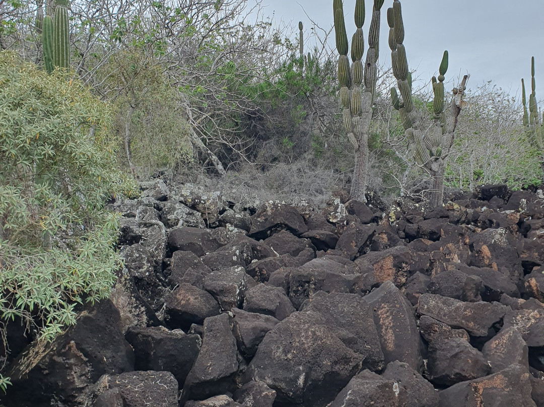 Cerro Tijeretas-Puerto Baquerizo Moreno必去景点