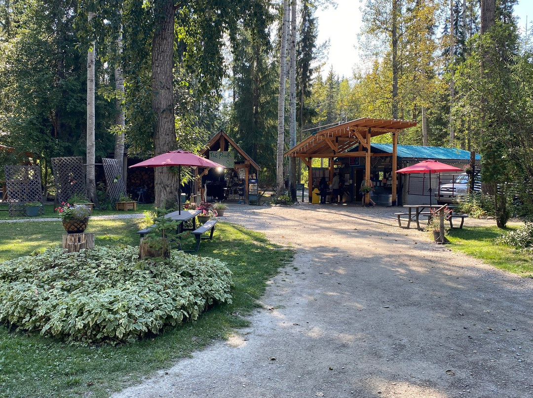 Northern Lights Wildlife Wolf Centre-戈尔登必去景点