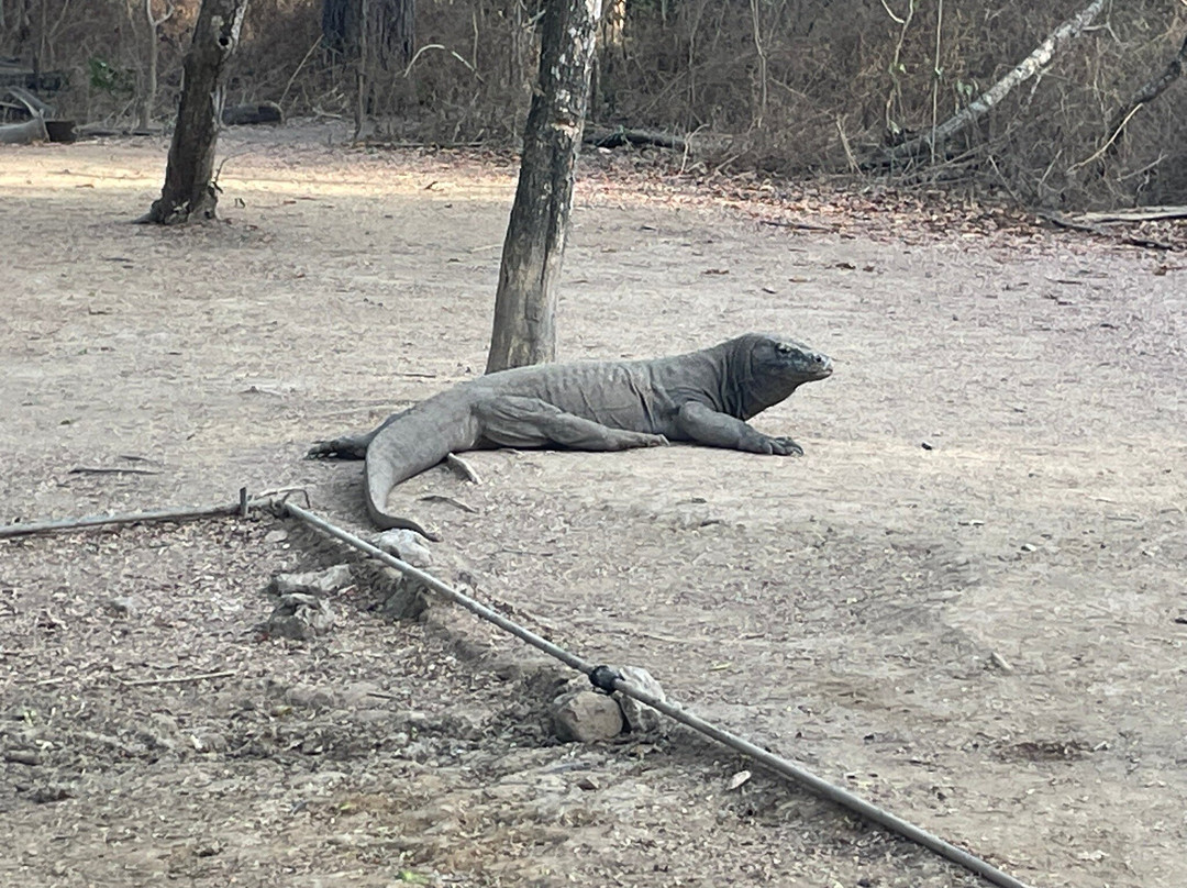 Indo Vacay-Labuan Bajo必去景点
