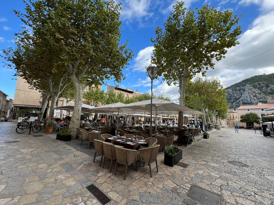 Placa Major-Pollenca必去景点