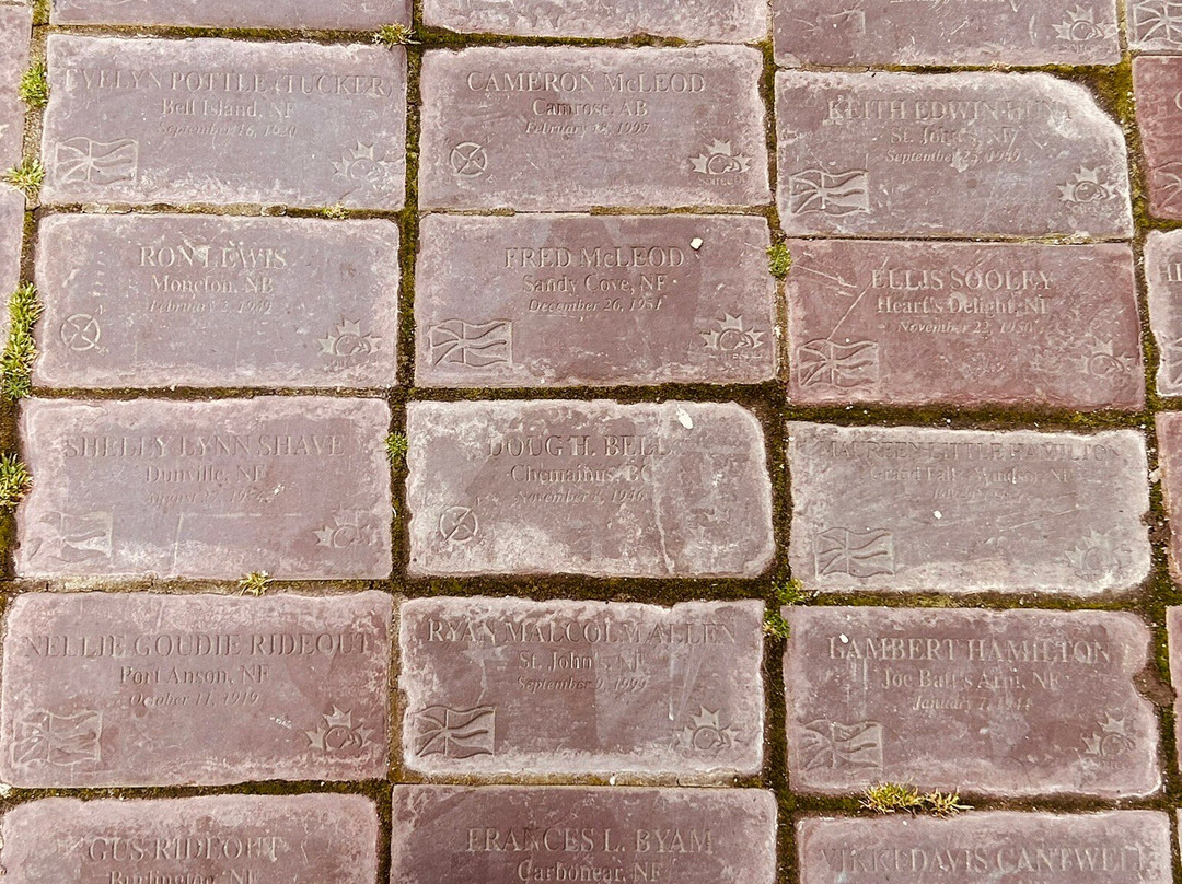 George Street-圣约翰必去景点