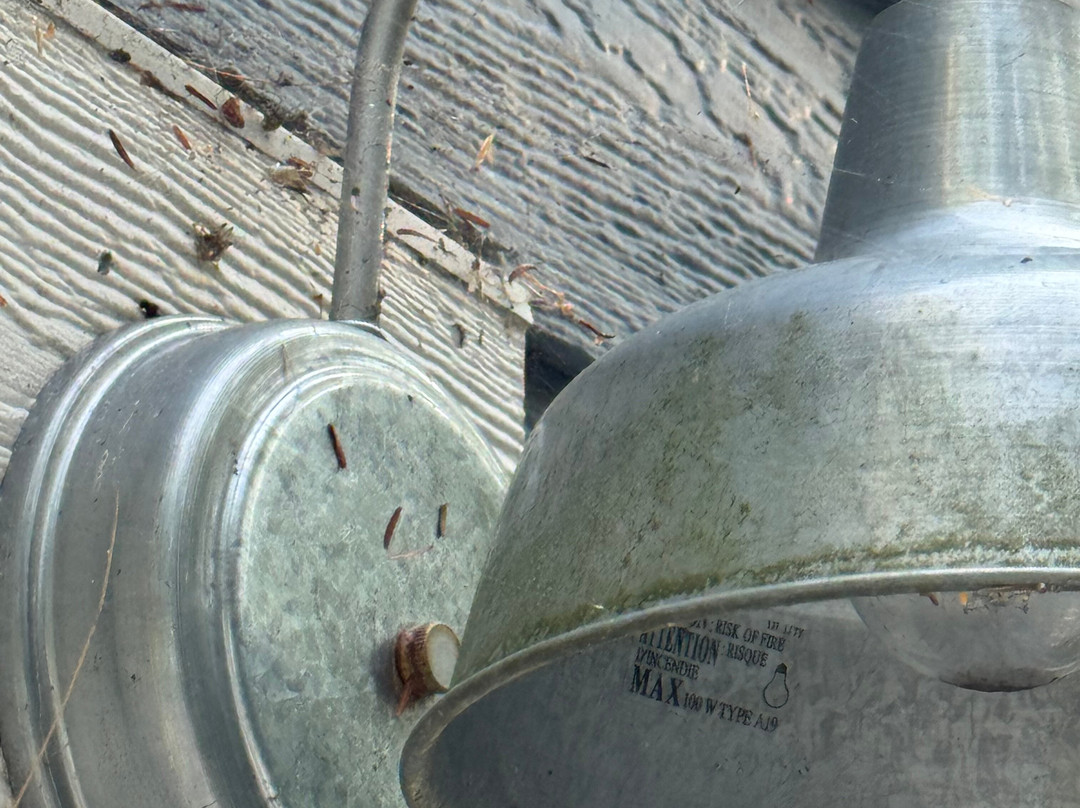 Toby's Retreat at Holloways Beach主图