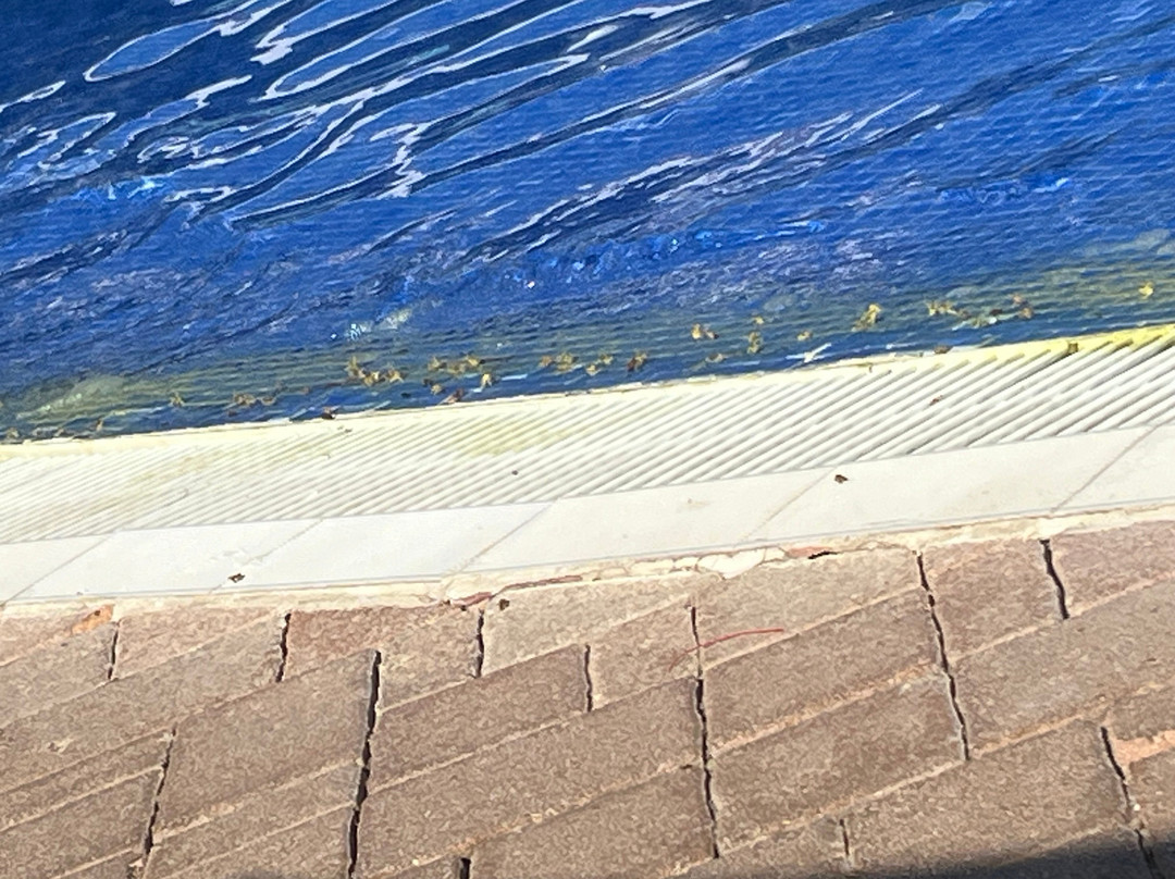 Ocean Coral & Turquesa主图