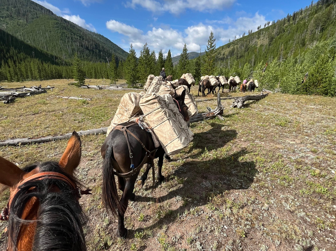 K Lazy 3-Lincoln必去景点