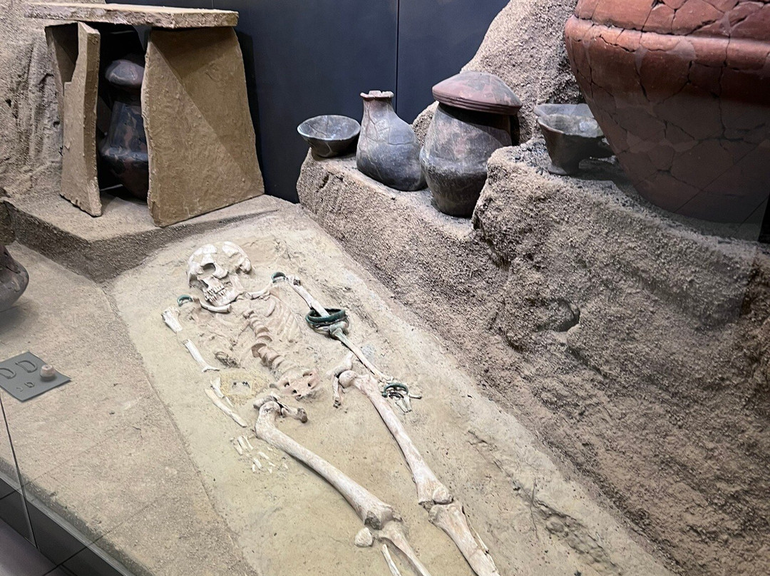 Museo della Preistoria Luigi Donini-萨韦纳河畔圣拉扎罗必去景点