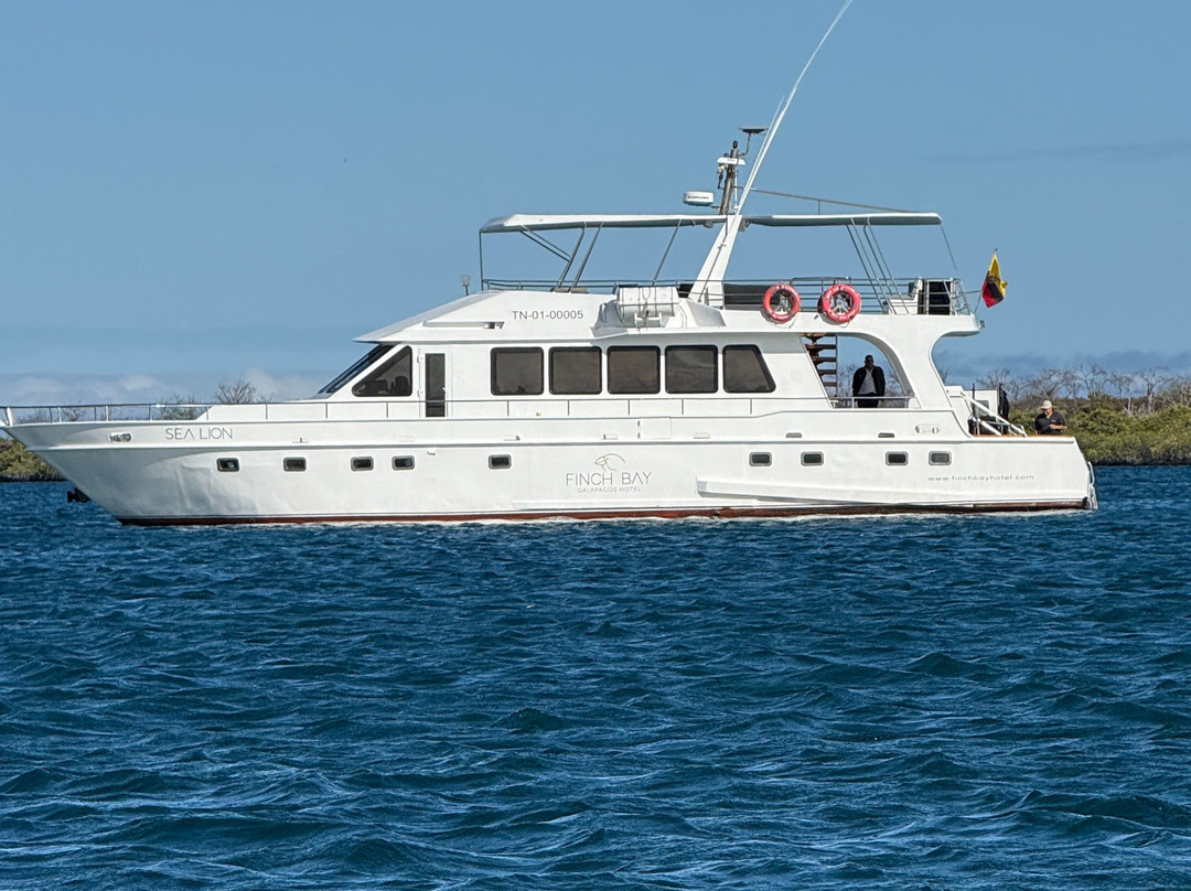 Metropolitan Touring-基多必去景点