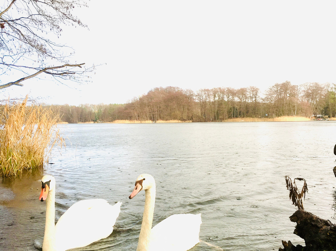 Hotel Seeschloss主图