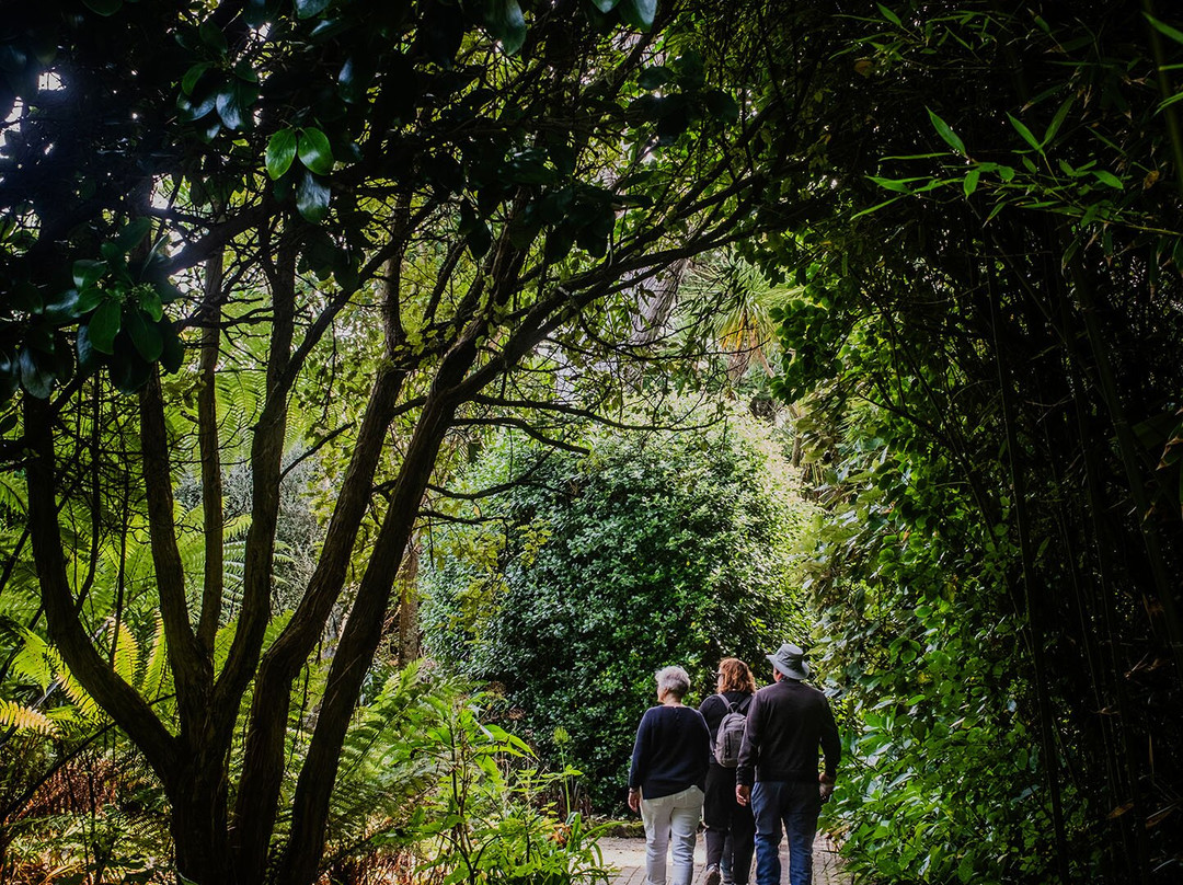 Tresco Abbey Garden & Valhalla Collection-Tresco必去景点