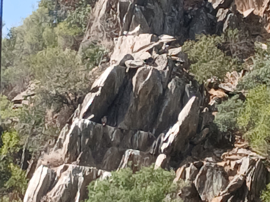 Barco del Tajo - Reserva de la Biosfera de Monfragüe-Serradilla必去景点