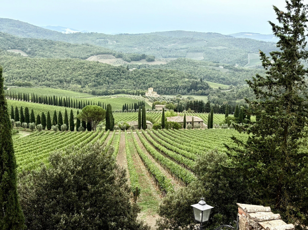 Castello di Albola-拉达因基安蒂必去景点