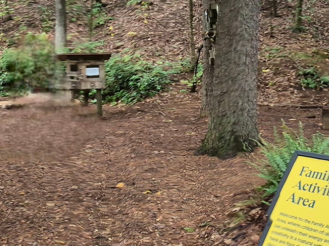 New England Wild Flower Society Garden in the Woods-弗雷明汉必去景点