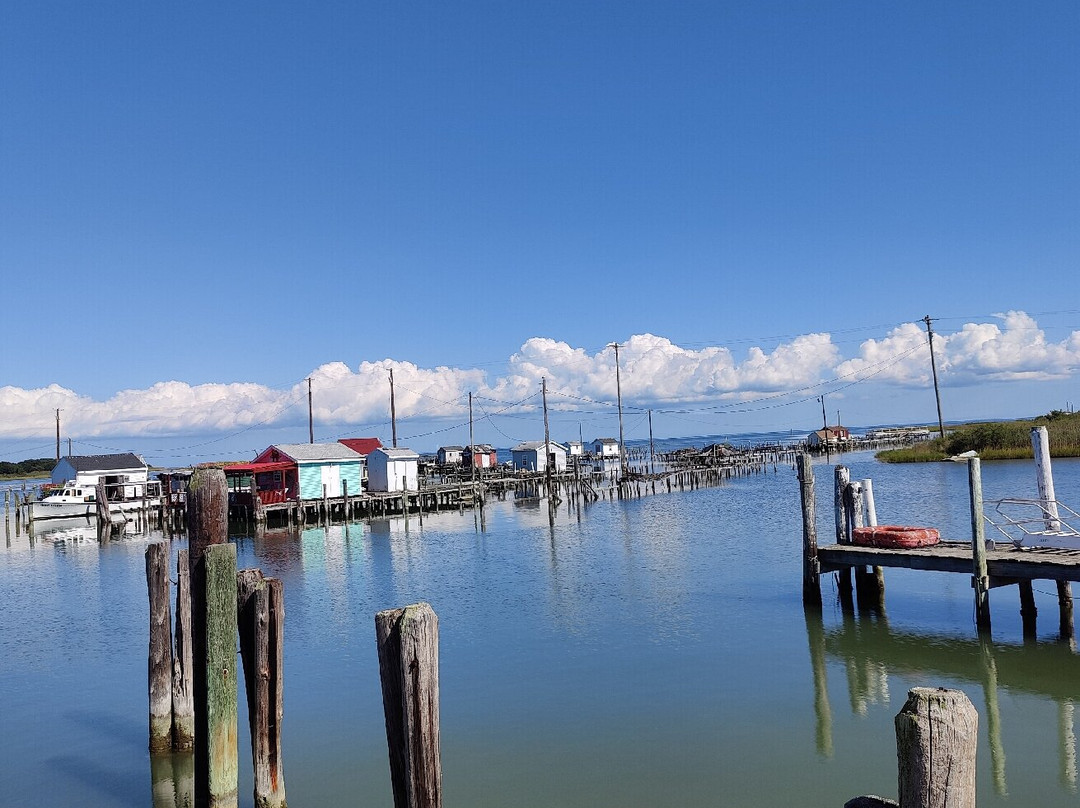 Tangier Island Cruises-Crisfield必去景点