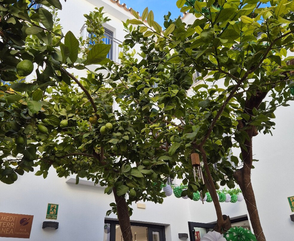 Opuntia Boutique Hotel主图