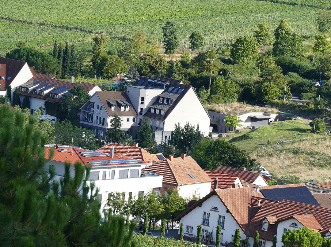 维恩贝格豪斯酒店主图