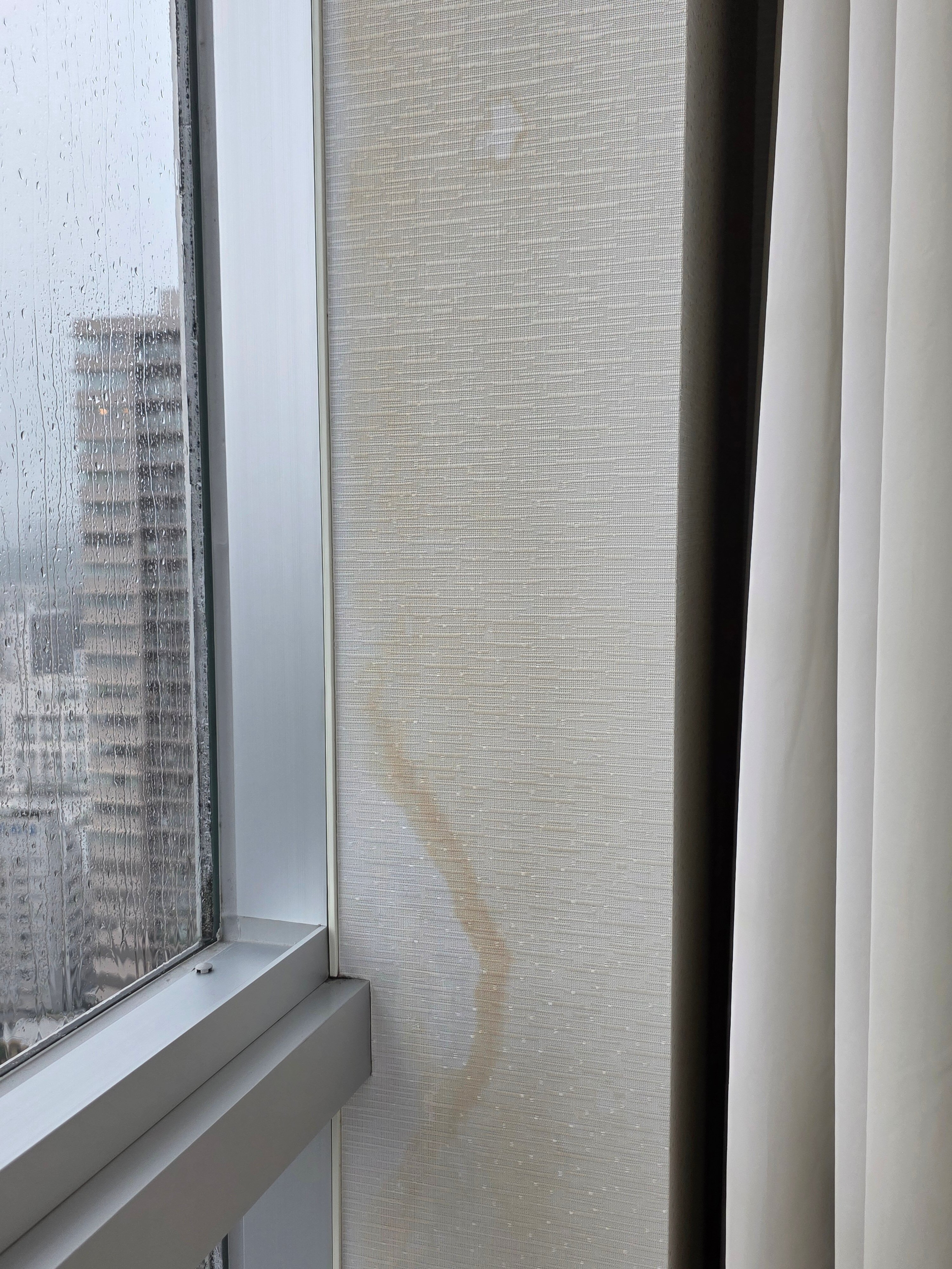 广岛喜来登酒店-客卧