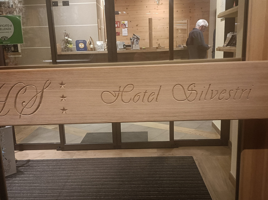 Hotel Silvestri主图