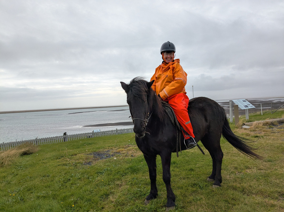 Eldhestar Volcano Horses-Olfus必去景点
