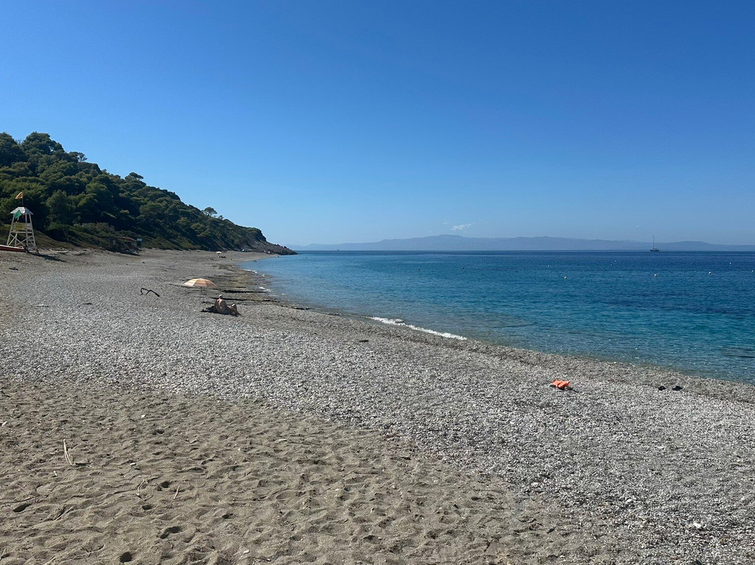 Milia Beach-斯科派洛斯必去景点