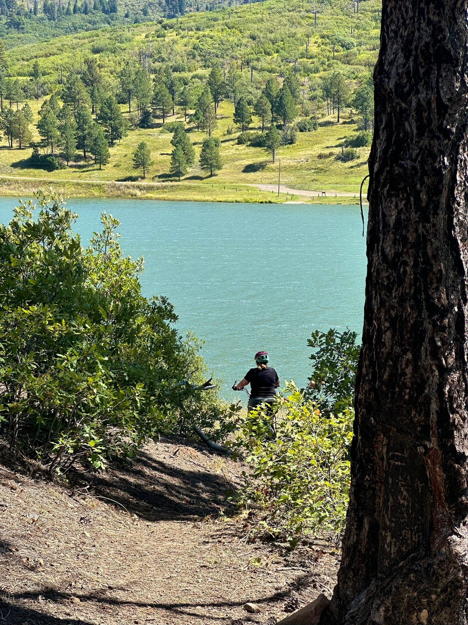 Maverick Motel-官方