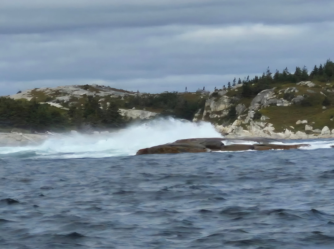 Peggy's Cove Boat Tours-Peggy's Cove必去景点