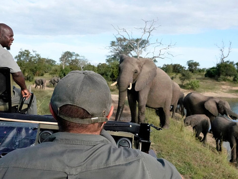 伊杜贝禁猎区山林小屋主图