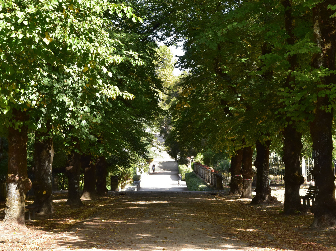 Jardim Botanico-科英布拉区必去景点