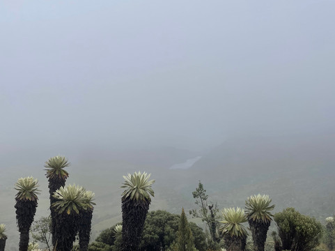 Laguna Negra-Mongui必去景点