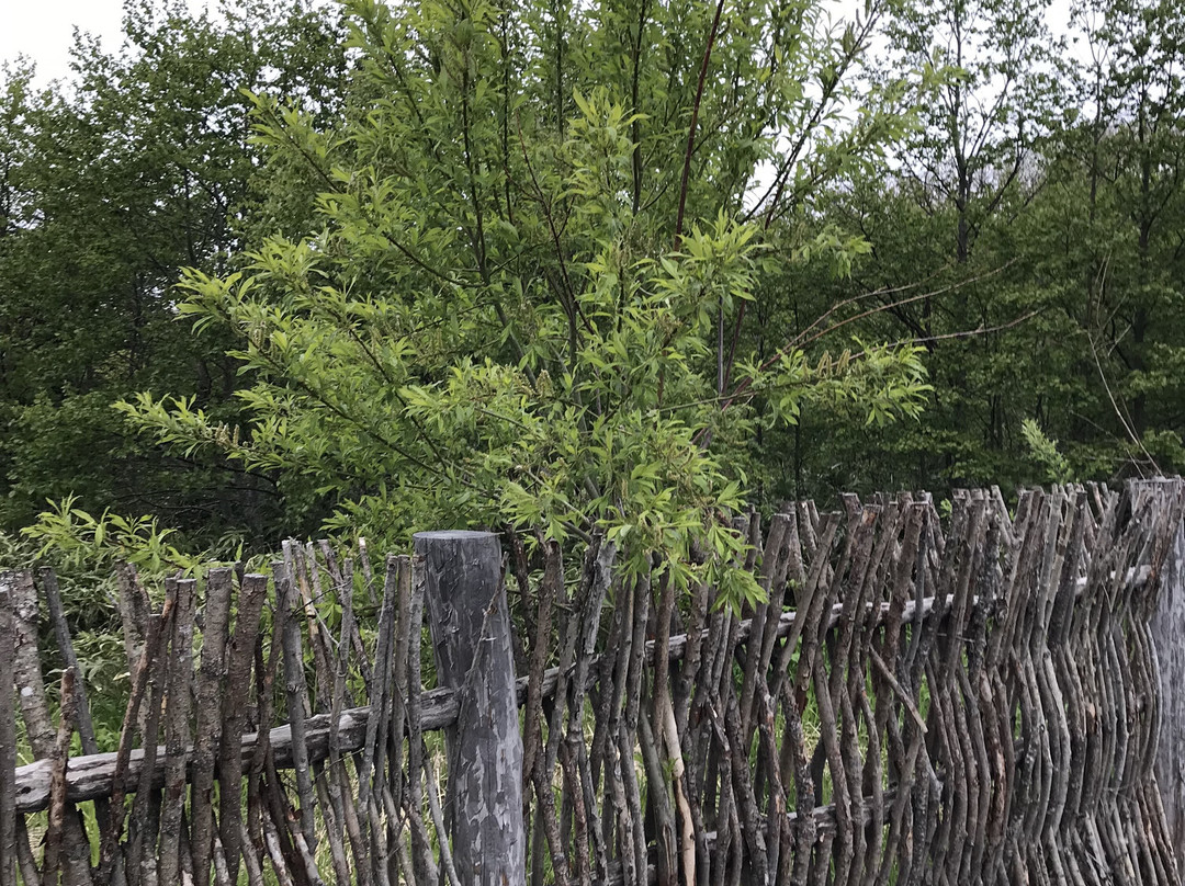 Zharkiye Vody  Hot Spring-Reydovo必去景点