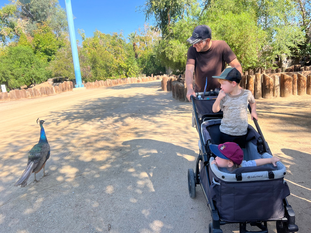 Wildlife World Zoo and Aquarium-Litchfield Park必去景点