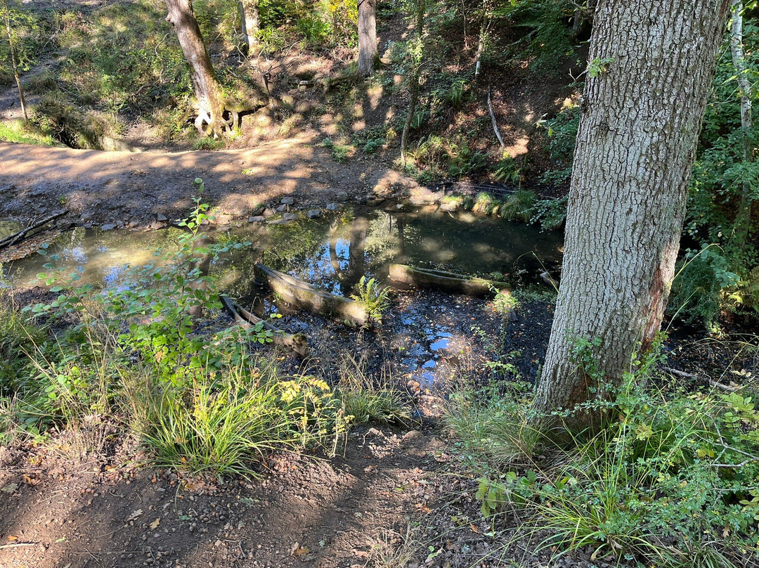 Forest of Dean Sculpture Trail-Coleford必去景点
