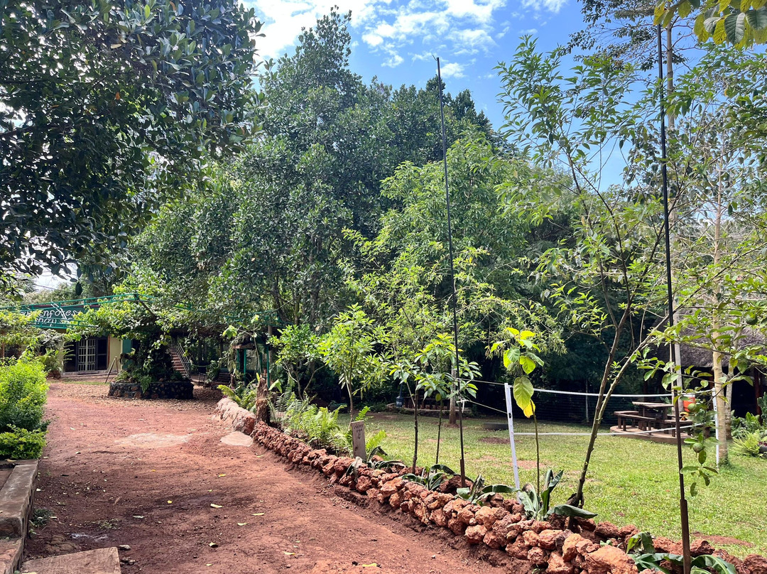 Mpanga Nature Center-Mpigi必去景点