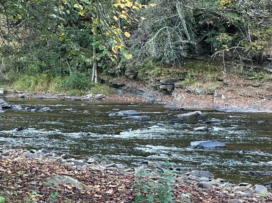 Stuart Recreation Area-Elkins必去景点