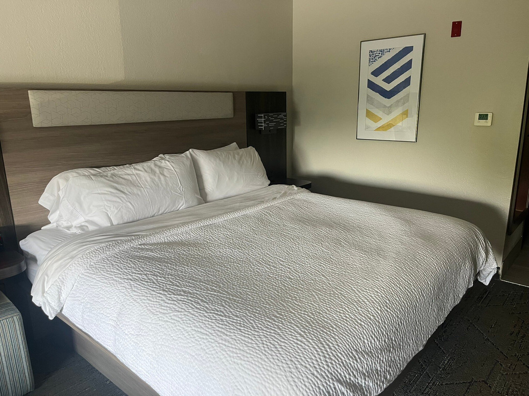 Holiday Inn Express & Suites Roanoke Rapids SE by IHG主图