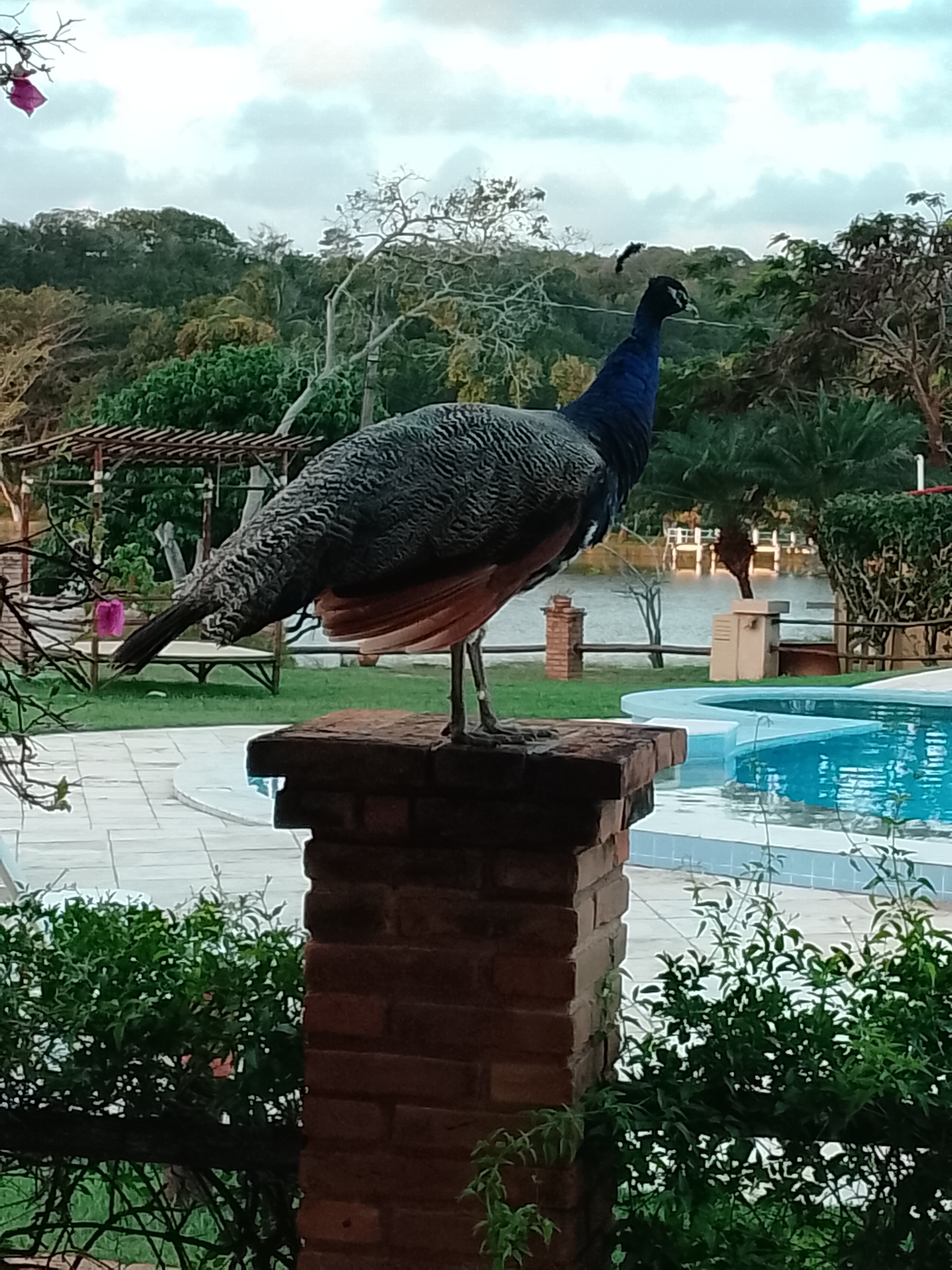 Fazenda Fiore Resort & Residence-官方