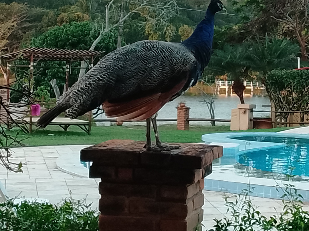 Fazenda Fiore Resort & Residence主图