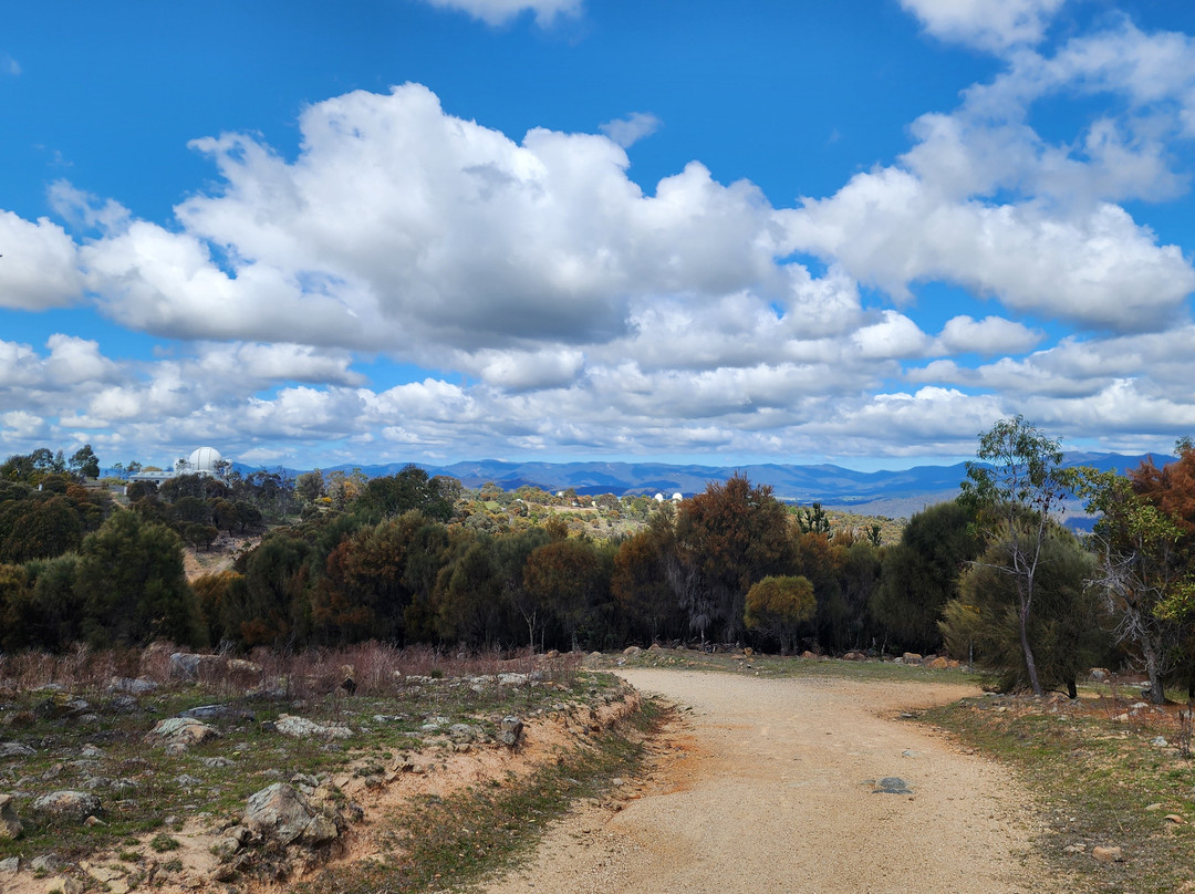 Mountain Bike Lessons and Gravity Shuttles-Stromlo必去景点