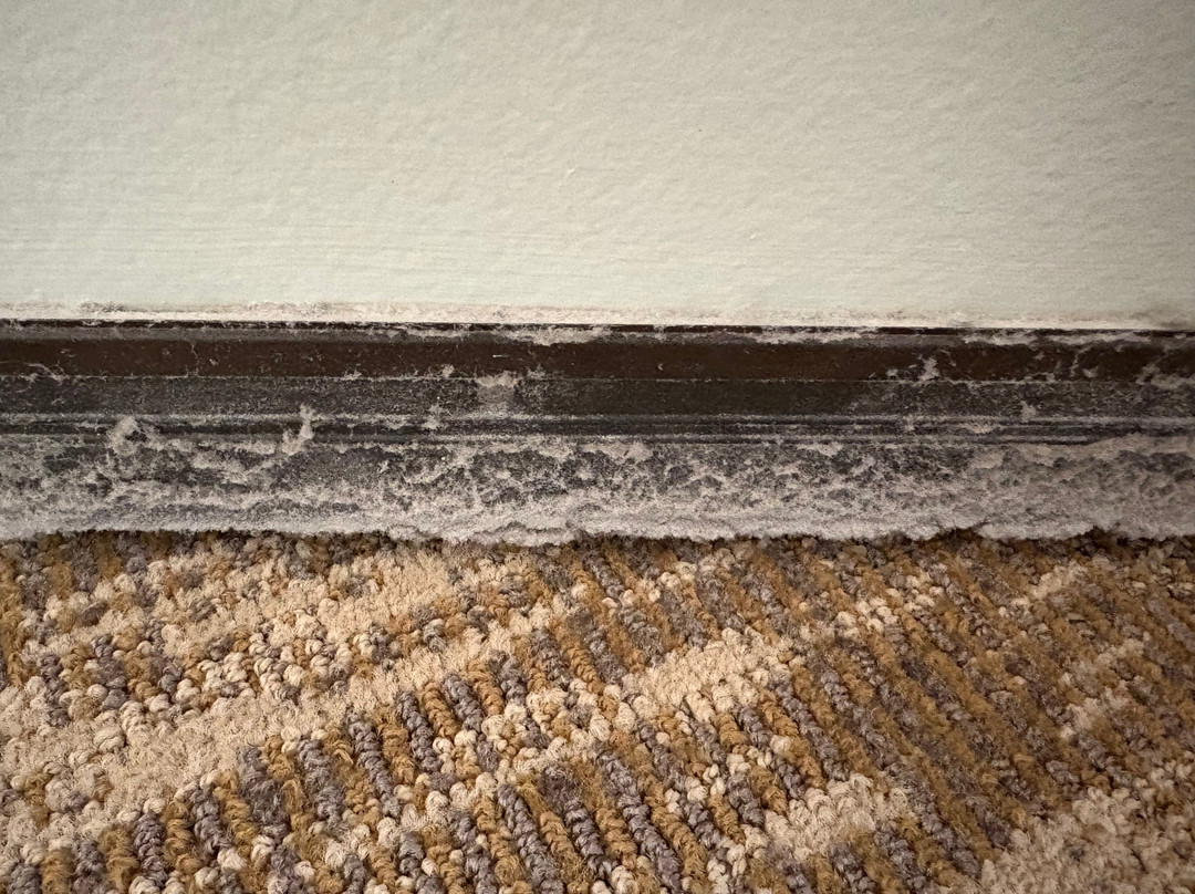 辛辛那提荷兰广场希尔顿酒店主图