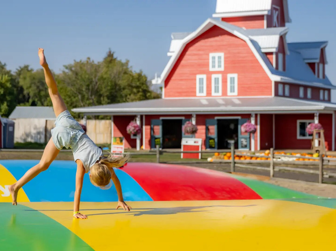 Kraay Family Farm-拉孔布必去景点