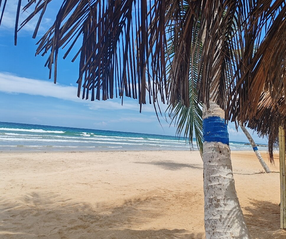 Italcaribe Club-波拉马尔必去景点