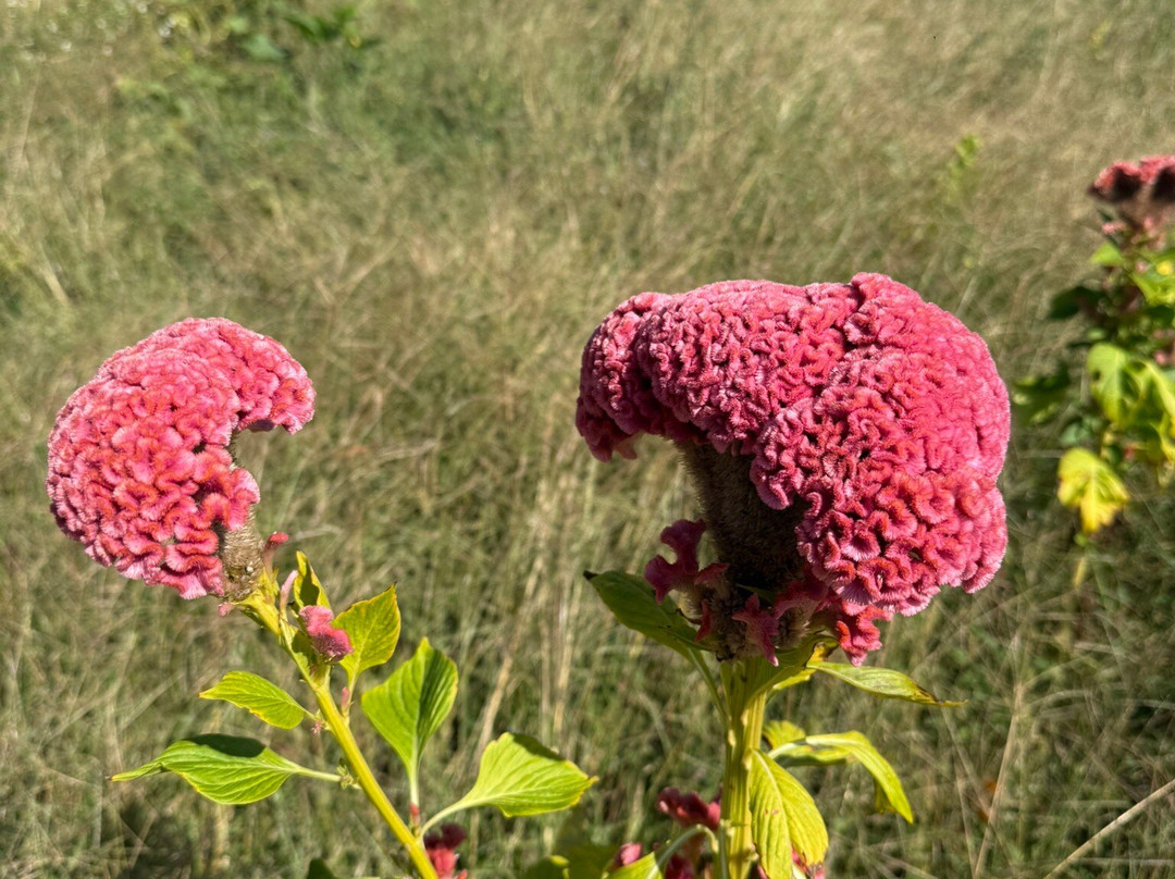 Hermitage Farm-Goshen必去景点