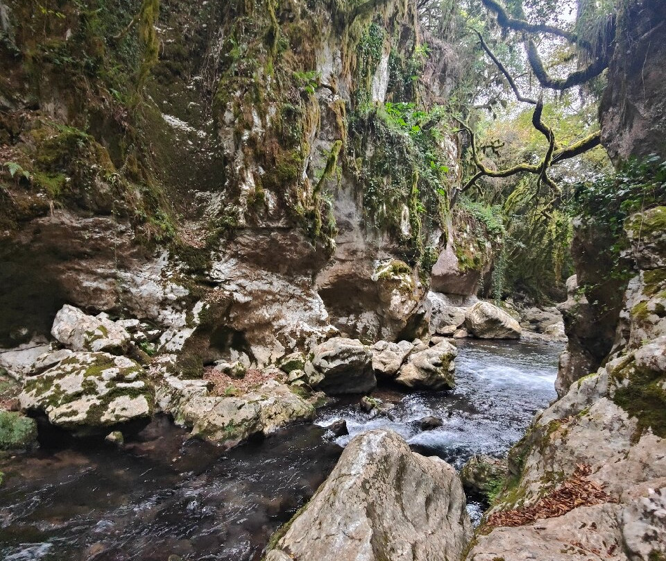 Oasi WWF Grotte del Bussento-Morigerati必去景点